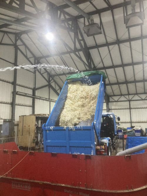 xử lý thức ăn dư thừa